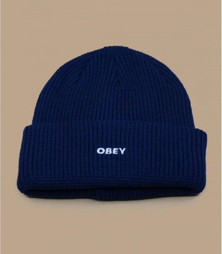 Future Beanie poseidon Obey